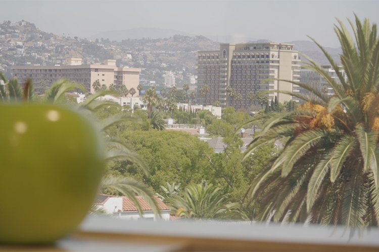 Golshani-Office Photos8